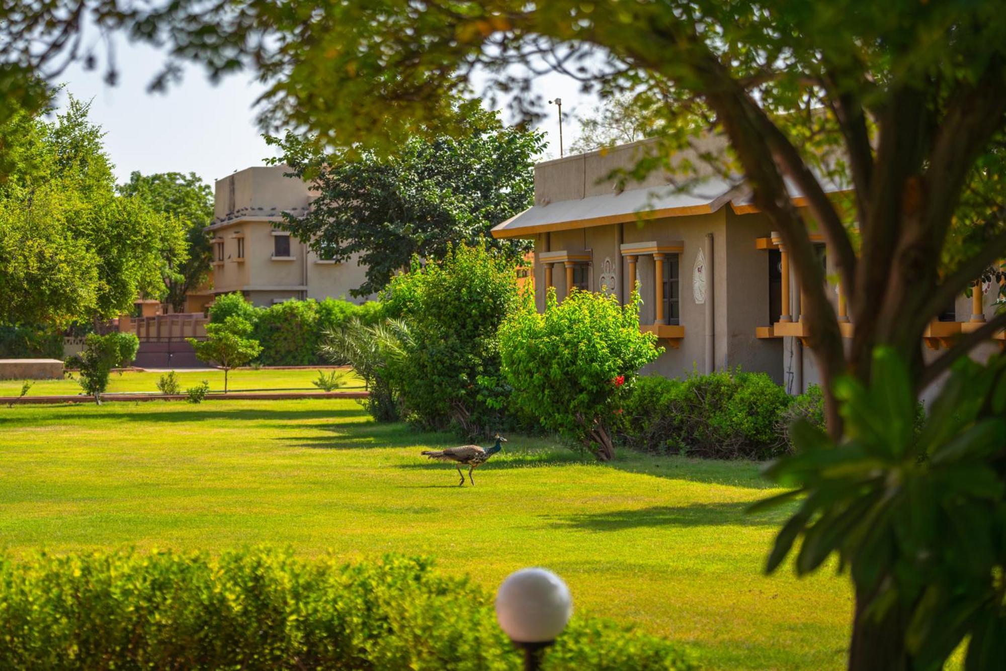 Thar Oasis Resort And Camp Dechu Eksteriør billede